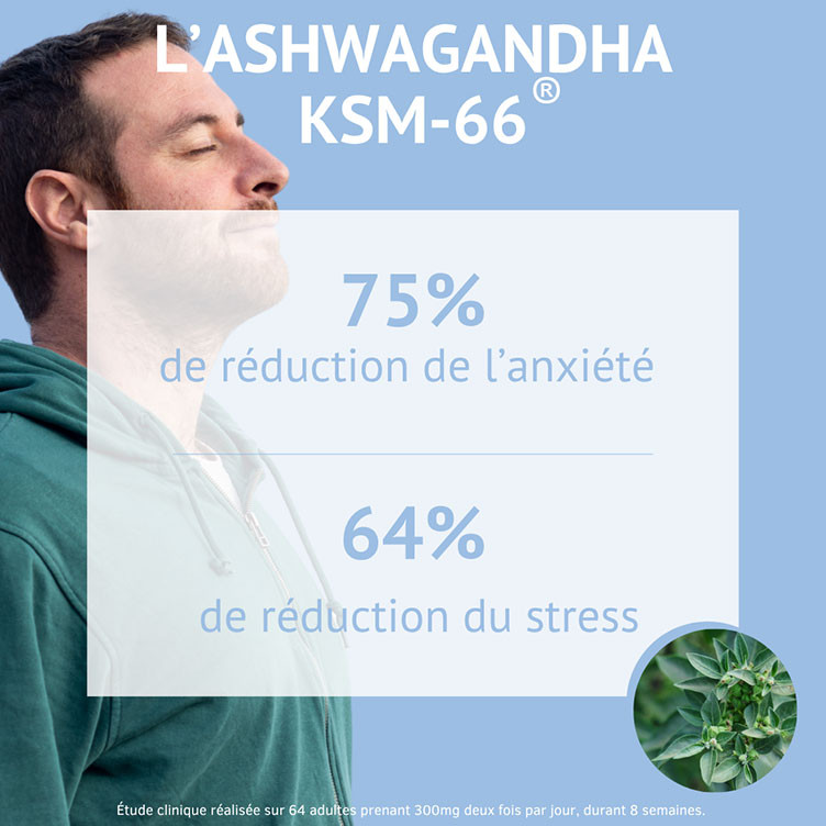 Organic Ashwagandha 6000 mg