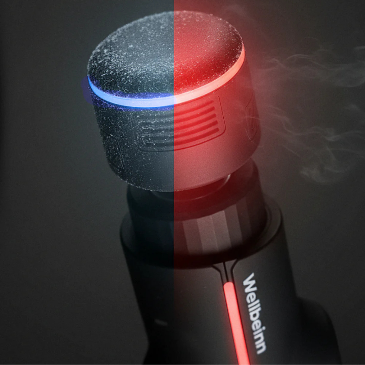 Wellbeinn Dispositif de...